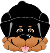 rottweiler pedigrees