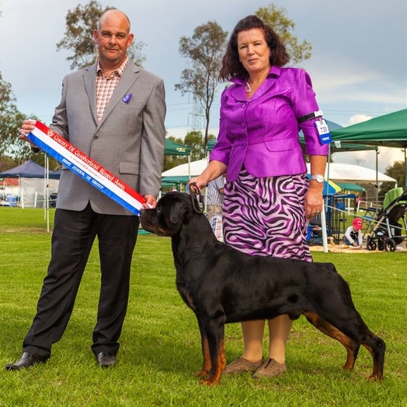 Vondara Rottweilers Hardrada Rottweilers: Champions